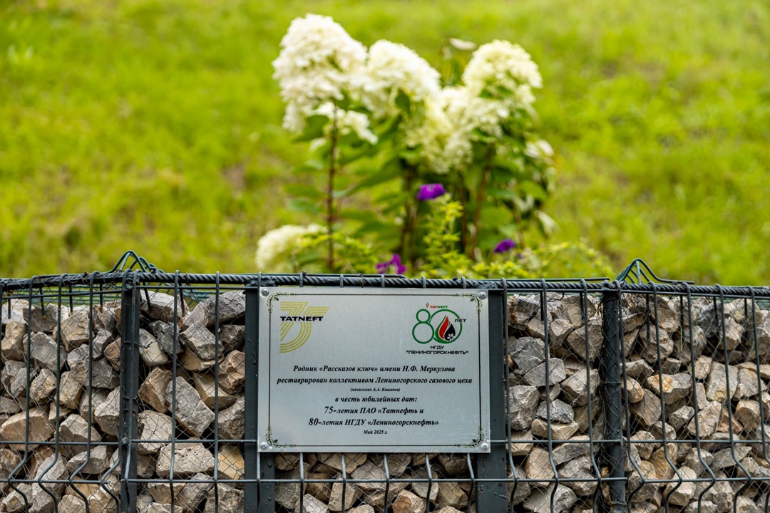 «Живые источники Татнефти»: названы лучшие родники 2025 года