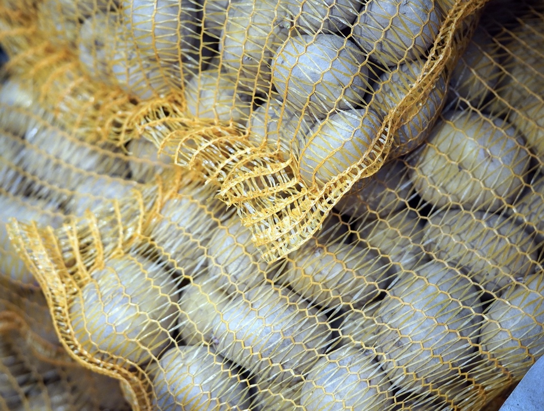 Минсельхоз не ожидает «перекосов» цен на картофель, по итогам года его урожай в организованном секторе превысит показатель 2024-го примерно на 300 тыс