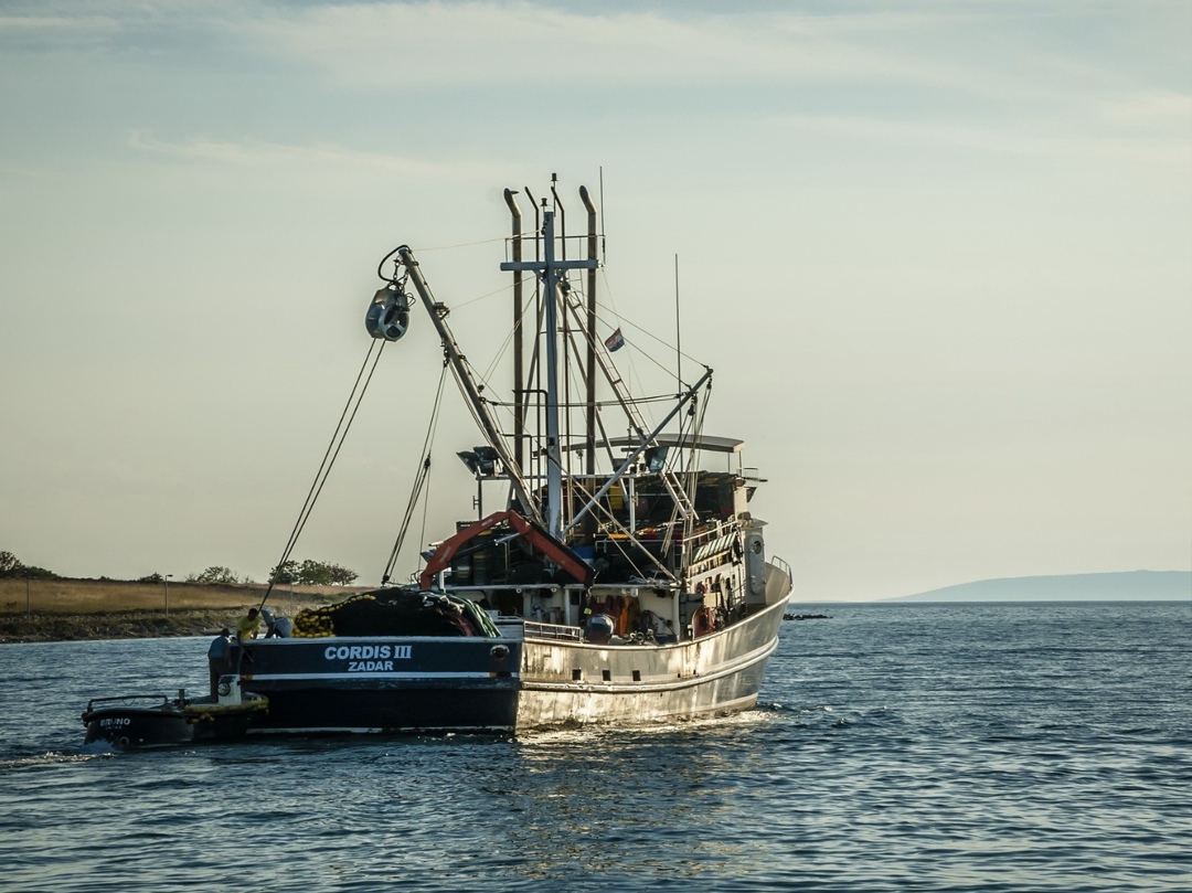 За январь-июнь 2025 года рентабельность рыбодобывающих предприятий составила около 33%, рассказал в ходе совещания президента Владимира Путина с членами…