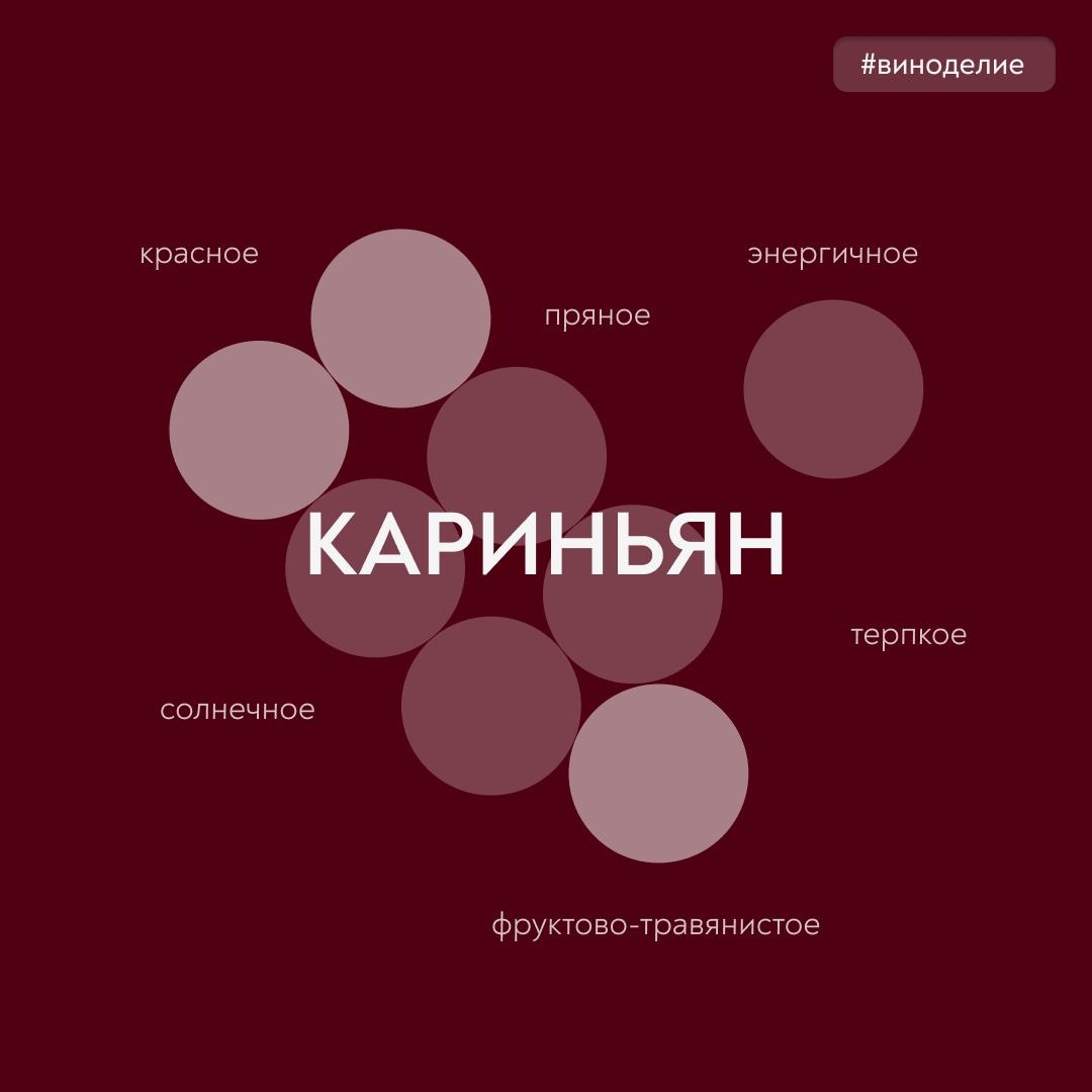 Солнечные ритмы в бокале Сегодня в совместной с «Винным гидом России» рубрике #вино_недели – сорт винограда, наполняющий вино южным теплом, – кариньян.