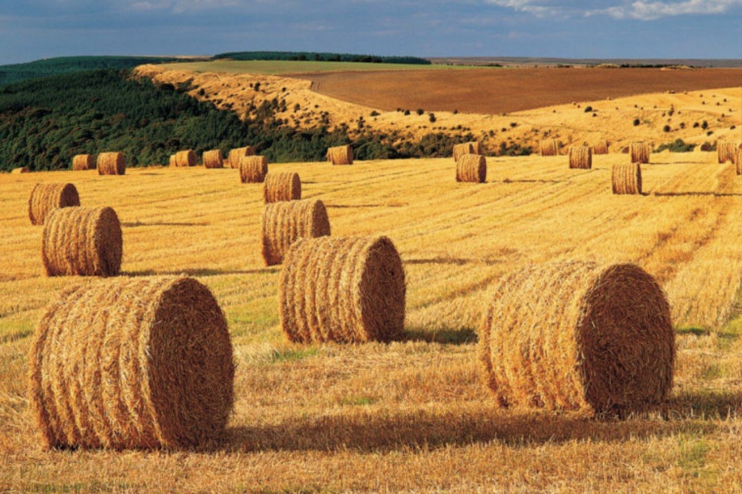В Тамбовской области введен мораторий на приватизацию земель сельскохозяйственного назначения, находящихся в государственной и муниципальной собственности,…