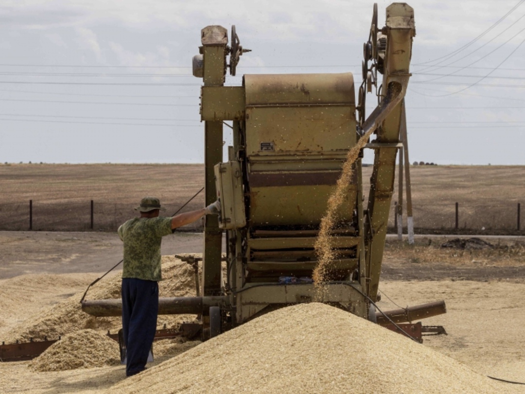 Подмосковное сельхозпредприятие «МВС АГРО» (входит в ГК «Метрополь») завершило уборочную кампанию с рекордными результатами. Средняя урожайность озимой пшеницы…