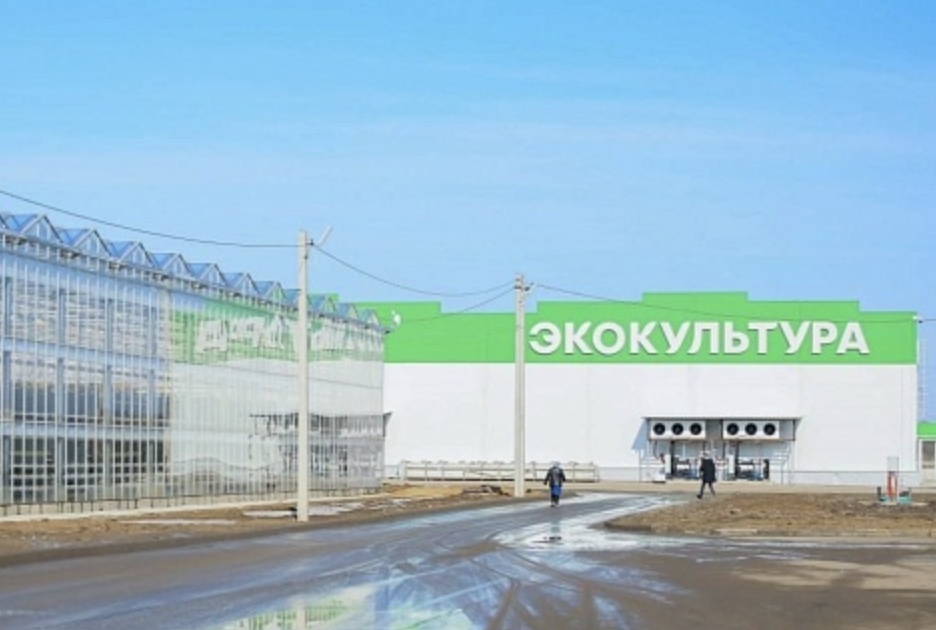 Тринадцать тепличных комплексов агрохолдинга «ЭКО-культура» успешно прошли повторную сертификацию в «Роскачество – Органик» по стандарту «Зеленый эталон»