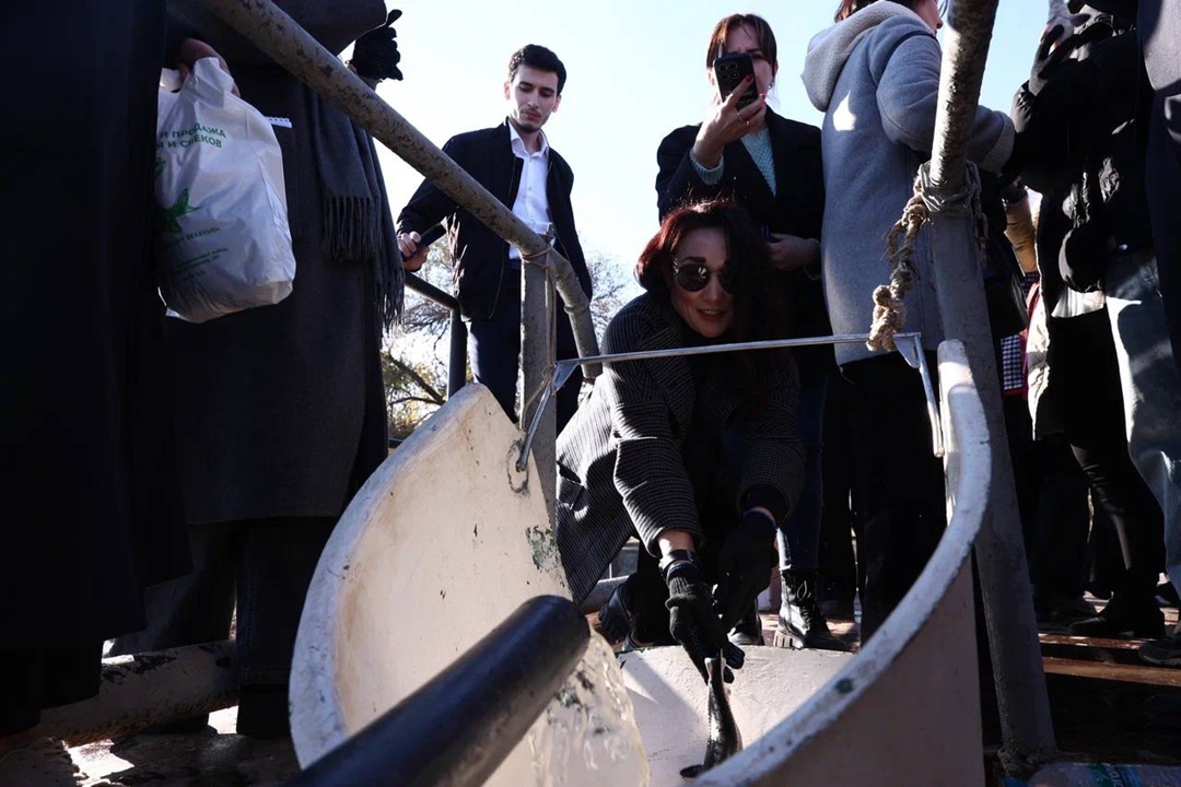 Волга встречает великанов При поддержке ЛУКОЙЛа в Астраханской области выпустили мальков краснокнижной белуги — самой большой пресноводной рыбы.