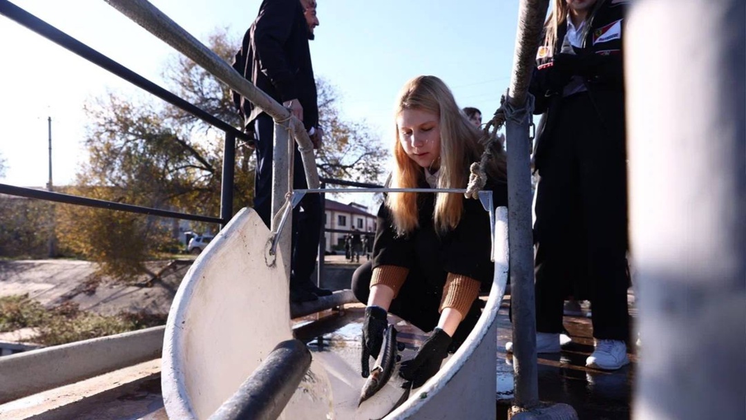 Волга встречает великанов При поддержке ЛУКОЙЛа в Астраханской области выпустили мальков краснокнижной белуги — самой большой пресноводной рыбы.