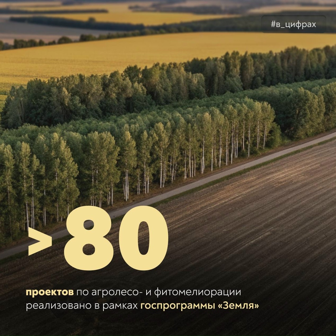 Сохранение почв – приоритет В рамках госпрограммы «Земля» уже реализовано >80 проектов по агролесо‑ и фитомелиорации.
