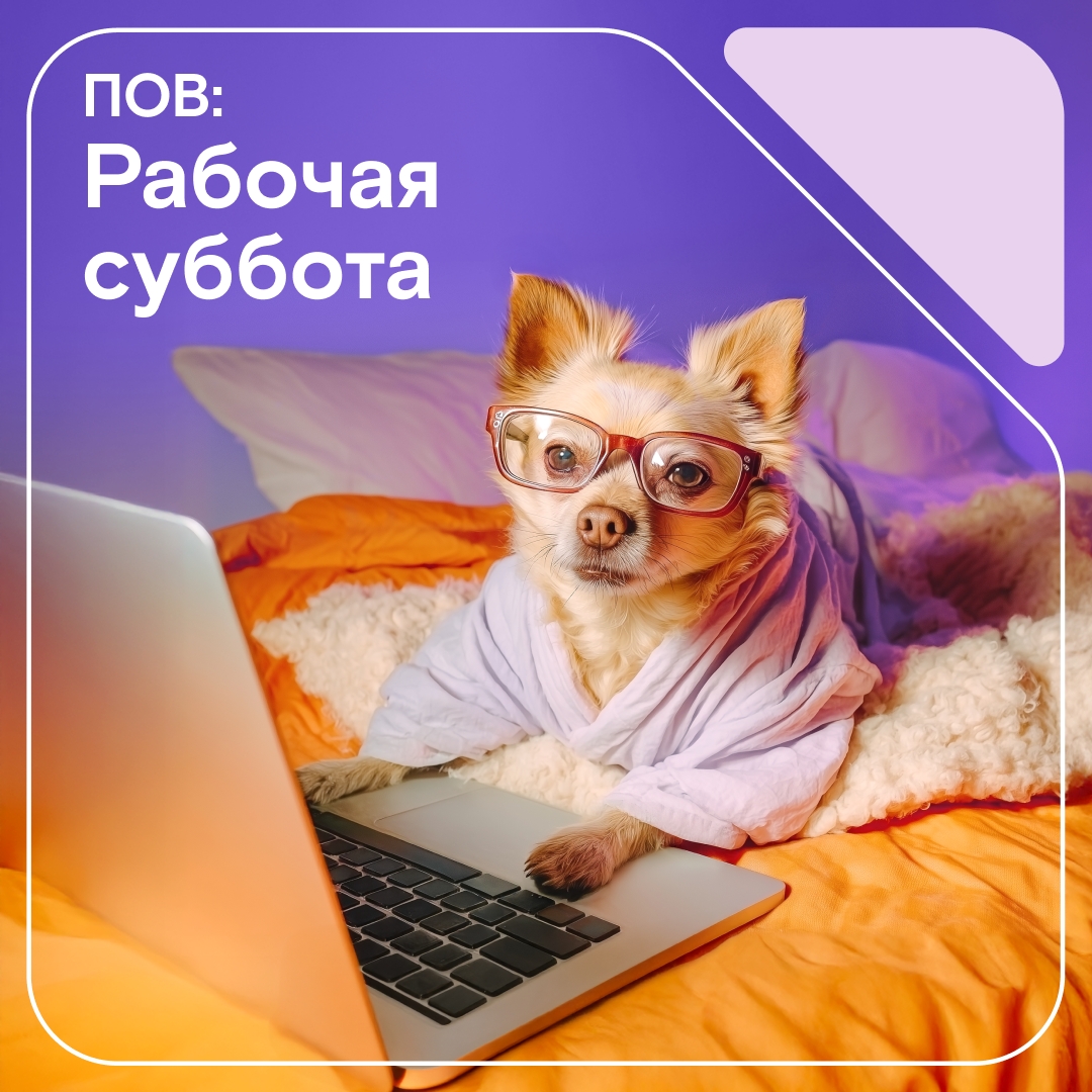 Пусть в эту субботу интернет работает за двоих