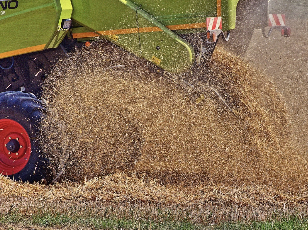 Самое интересное за октябрь В октябре ЦБ понизил ключевую ставку до 16,5%, правительство добавило АПК 34 млрд рублей на льготные кредиты, Минсельхоз решил…