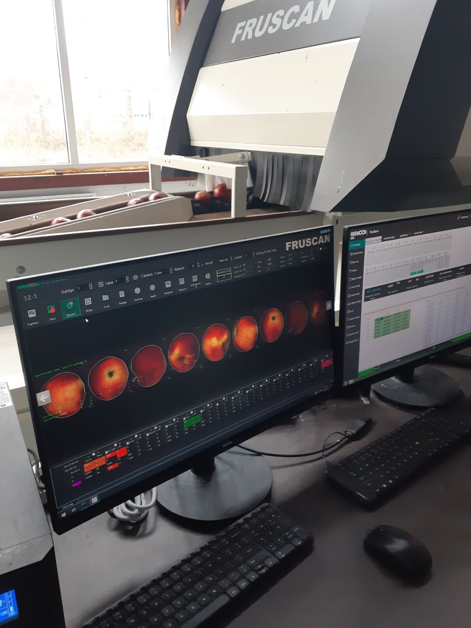 Недавно «Агроинвестор» принял участие в сборе урожая яблок компании «Брянский сад». В этом году она рассчитывает выполнить план и выйти на показатель в 4 тыс. т