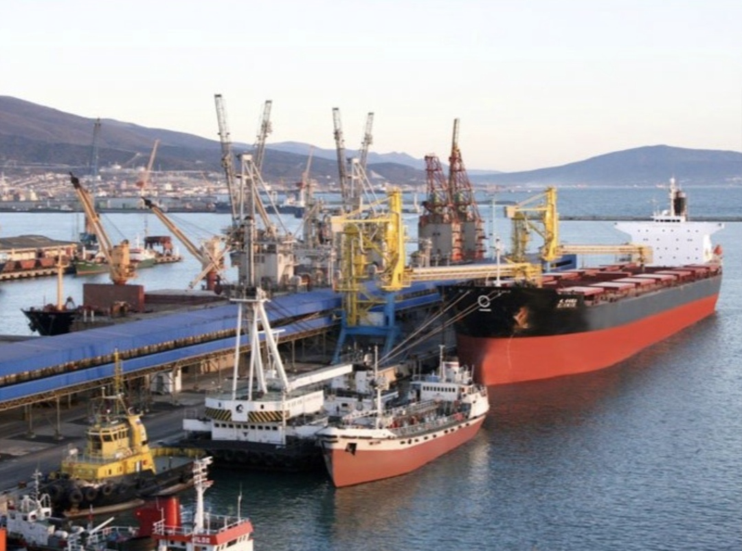 Аналитический центр «СовЭкон» повысил прогноз экспорта пшеницы из России в сезоне-2025/26 на 0,4 млн т, до 43,8 млн т, пишет «Агроэксперт» со ссылкой на обзор…