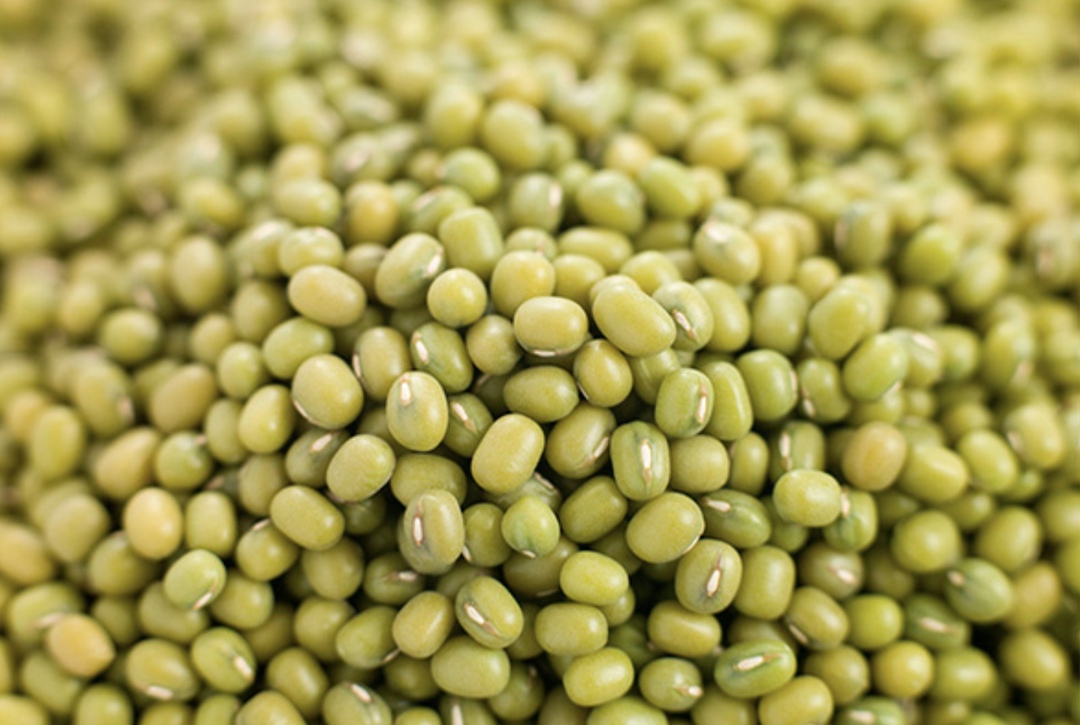 Россельхознадзор сообщил об открытии поставок российских пшеничных отрубей и маша (бобов мунг) в Китай, соответствующие документы подписаны в рамках 30-й…