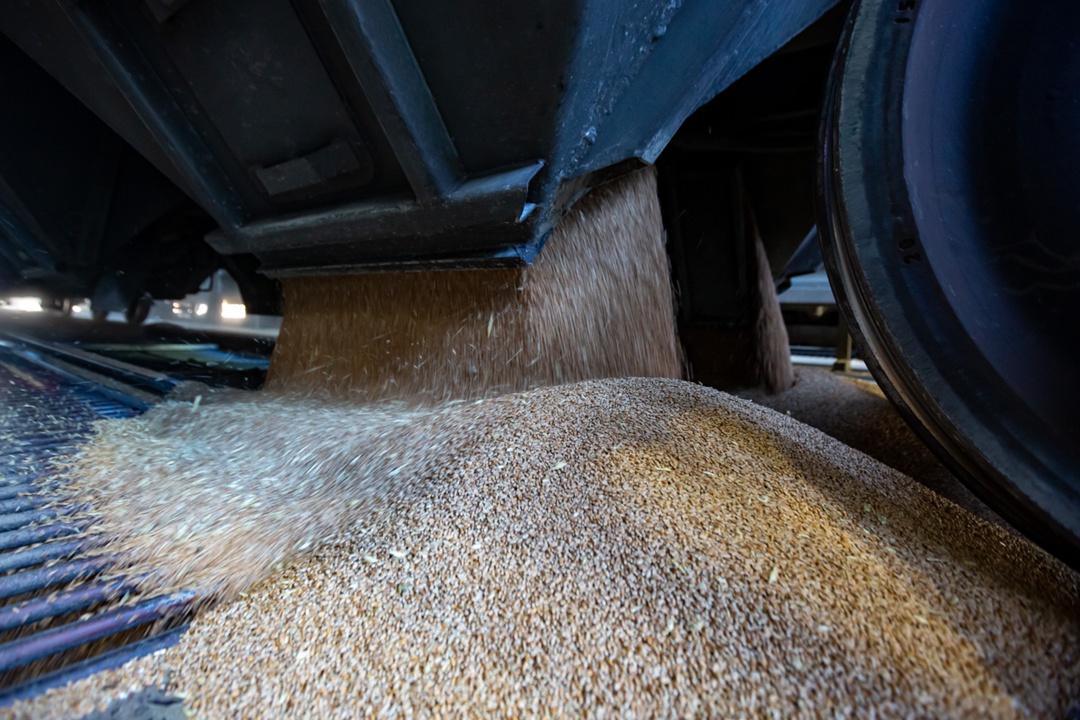Первую партию зерна отправили в Армению через Азербайджан по железной дороге