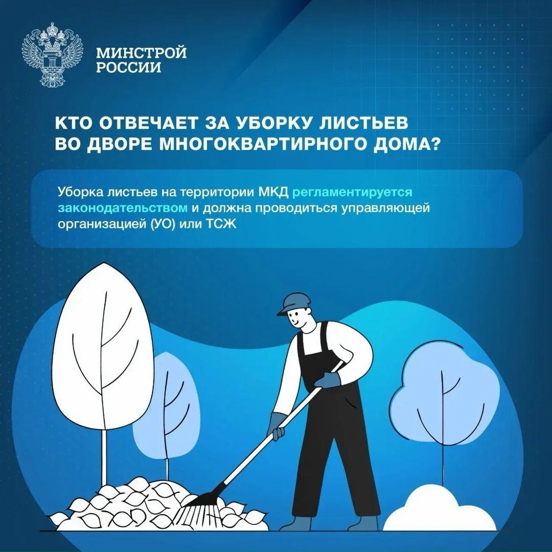 Уборка листвы во дворах многоквартирных домов является не только эстетической задачей, но и важной мерой для поддержания комфорта и безопасности жителей