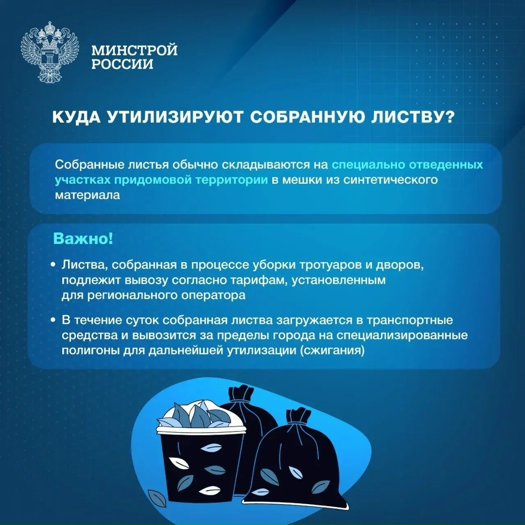 Уборка листвы во дворах многоквартирных домов является не только эстетической задачей, но и важной мерой для поддержания комфорта и безопасности жителей