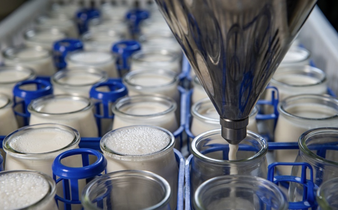 В Научно-исследовательском центре пищевой промышленности и фармацевтики (НИЦ ППиФ) «Иван-поле», работающем на базе ГК «Союзснаб», разработан метод…