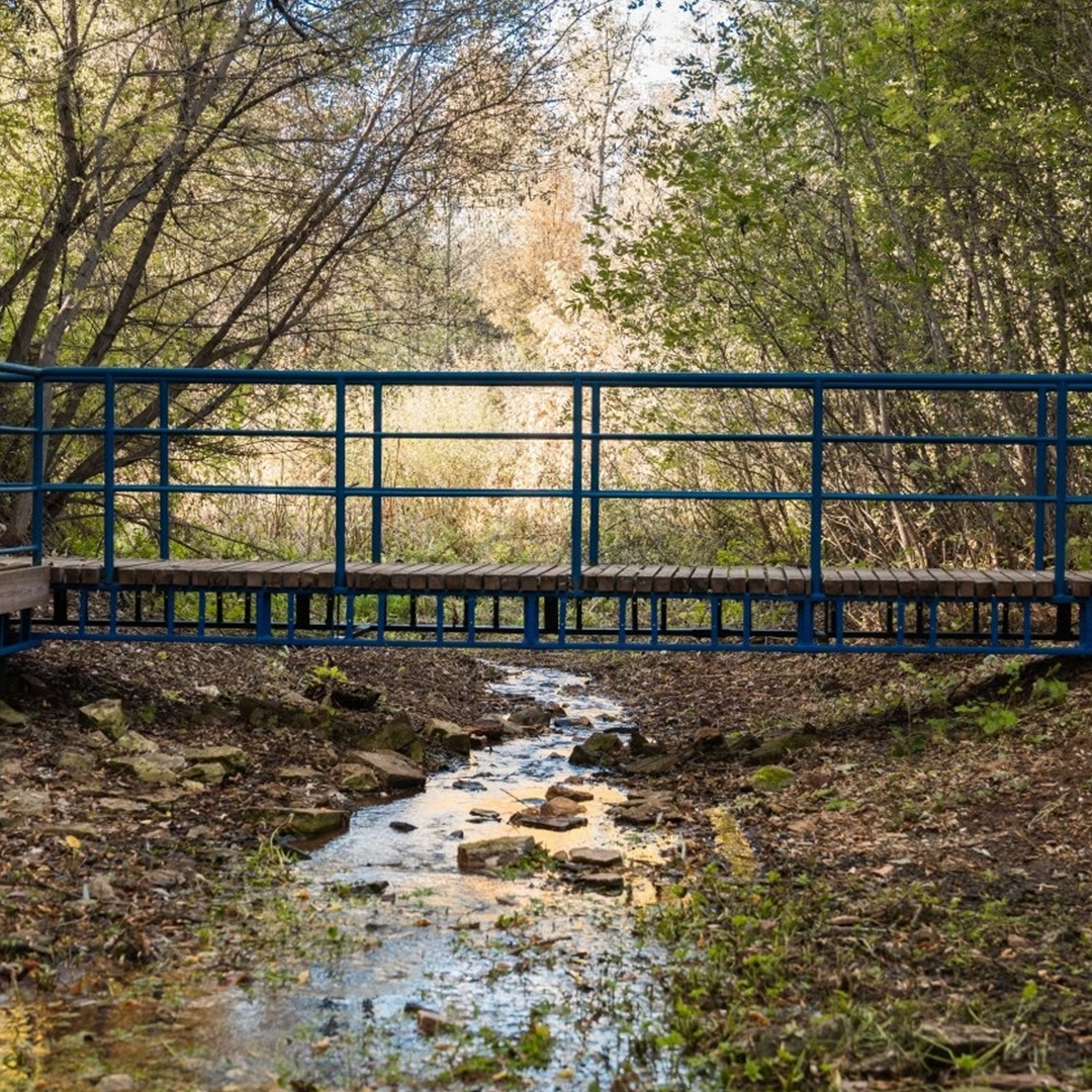 В Оренбургской области природные источники обретают вторую жизнь