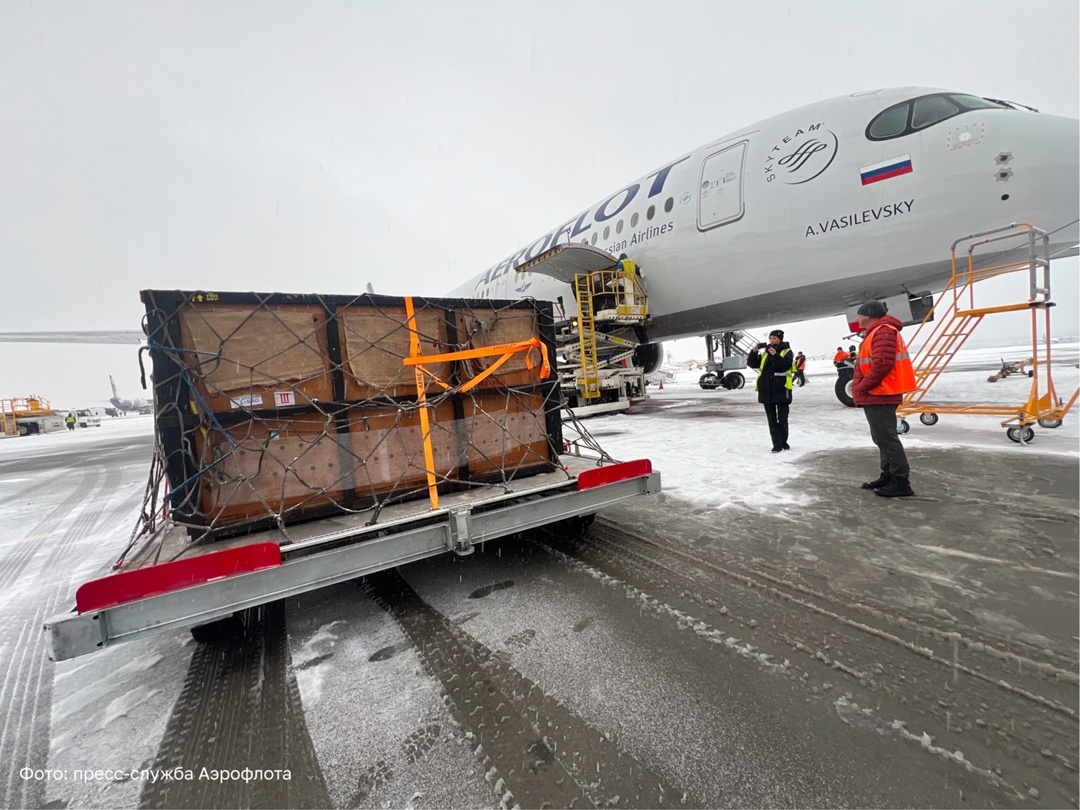 Два спасенных амурских тигра обрели новый дом
