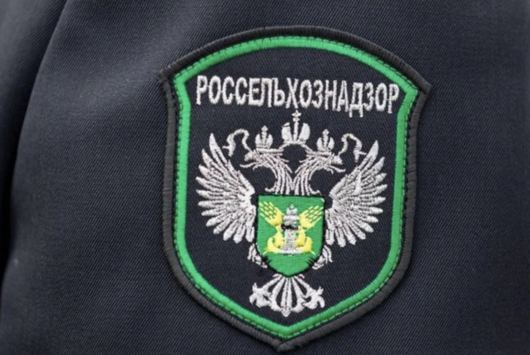 Территориальное управление Россельхознадзора в течение октября аннулировало более 100 деклараций о соответствии на злаковые, зернобобовые и масличные культуры…