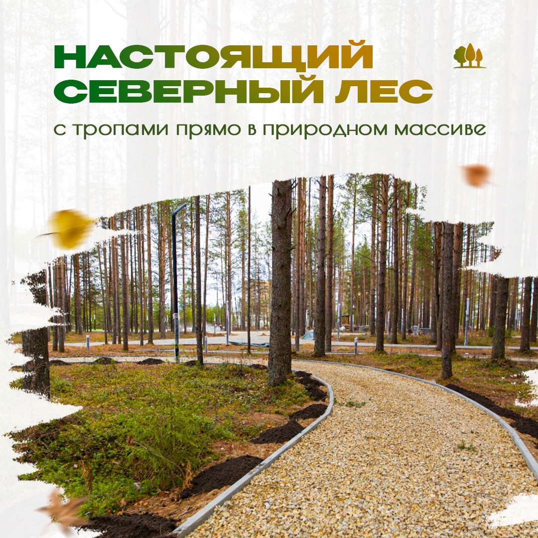 В Ухте вовсю идет благоустройство нового «Газпром парка». Ранее мы рассказывали о проекте, а сейчас можем увидеть, как он воплощается в жизнь.