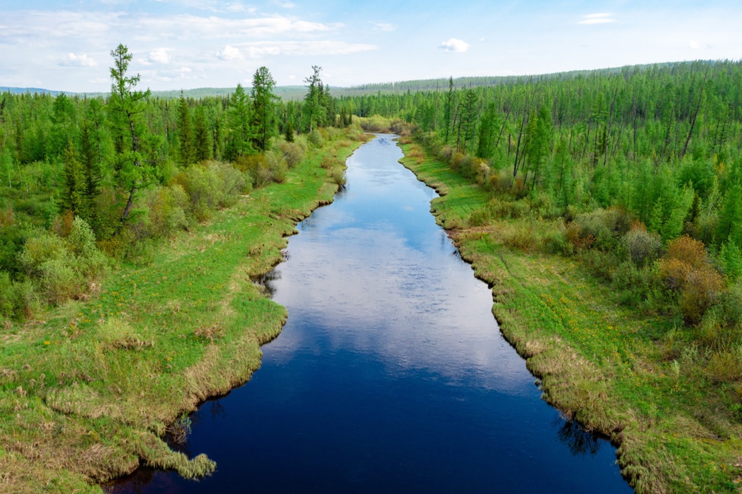 Чистые воды Эвенкии При поддержке «Роснефти» и грантовой программы «Востсибнефтегаза» учёные заповедника «Центральносибирский» провели масштабные исследования…