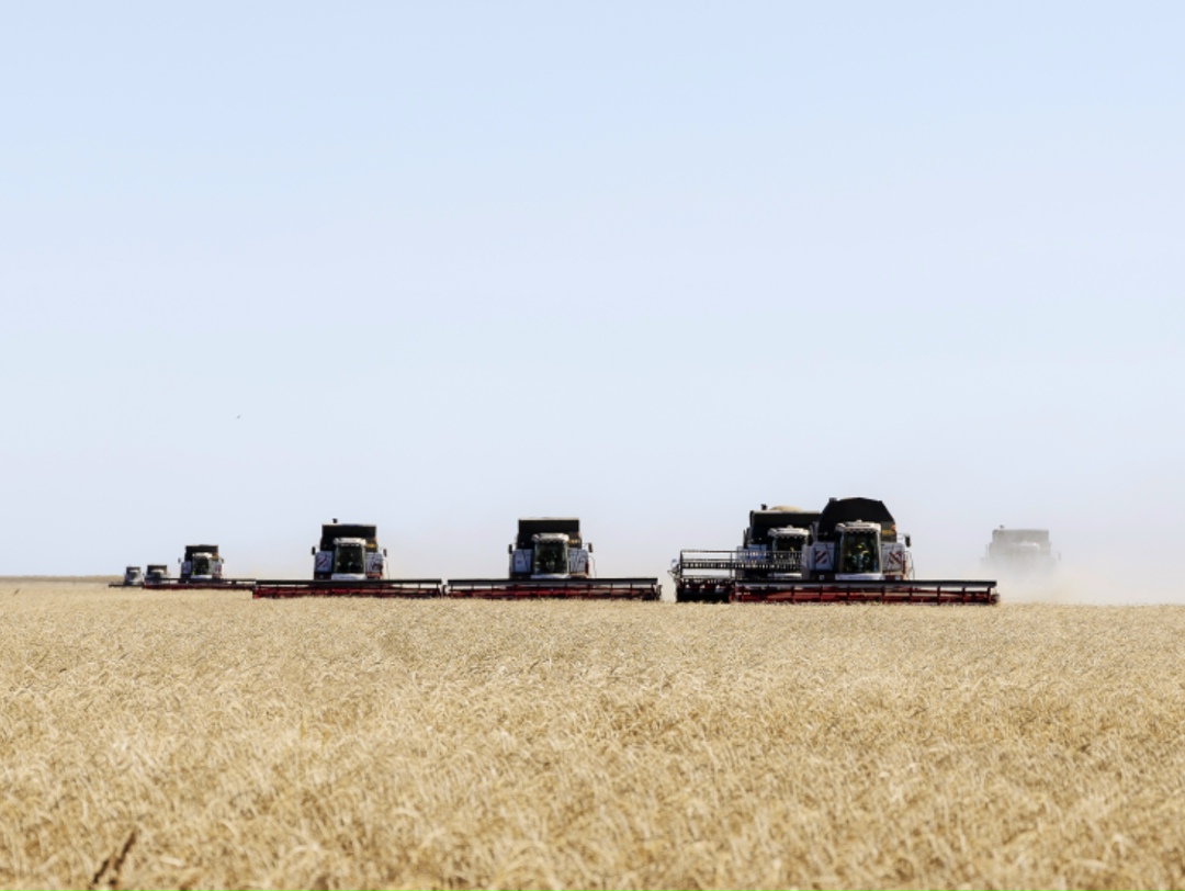 Сбор зерна превысил 140 млн т в бункерном весе, сообщил вице-премьер Дмитрий Патрушев на стратегической сессии о развитии агропромышленного сектора и…