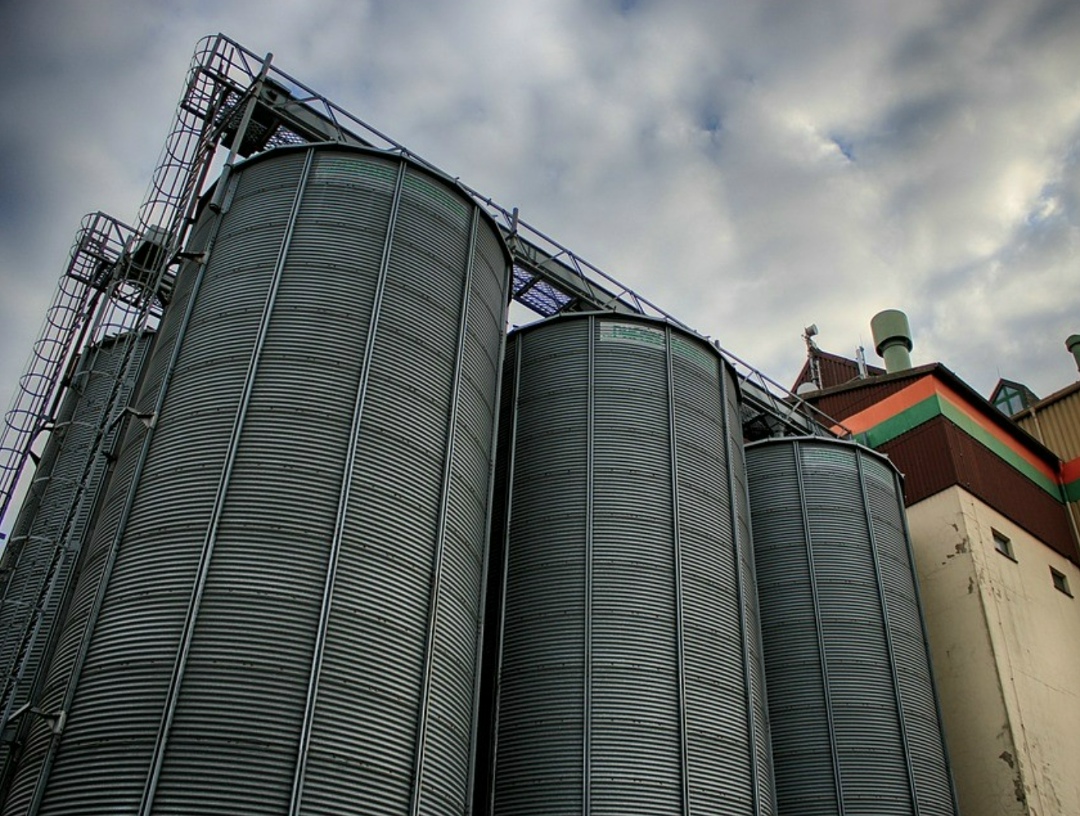 В России собрано 141,5 млн т зерна в бункерном весе, Минсельхоз сохраняет прогноз по урожаю в 135 млн т в чистом весе, сказала глава агроведомства Оксана Лут в…