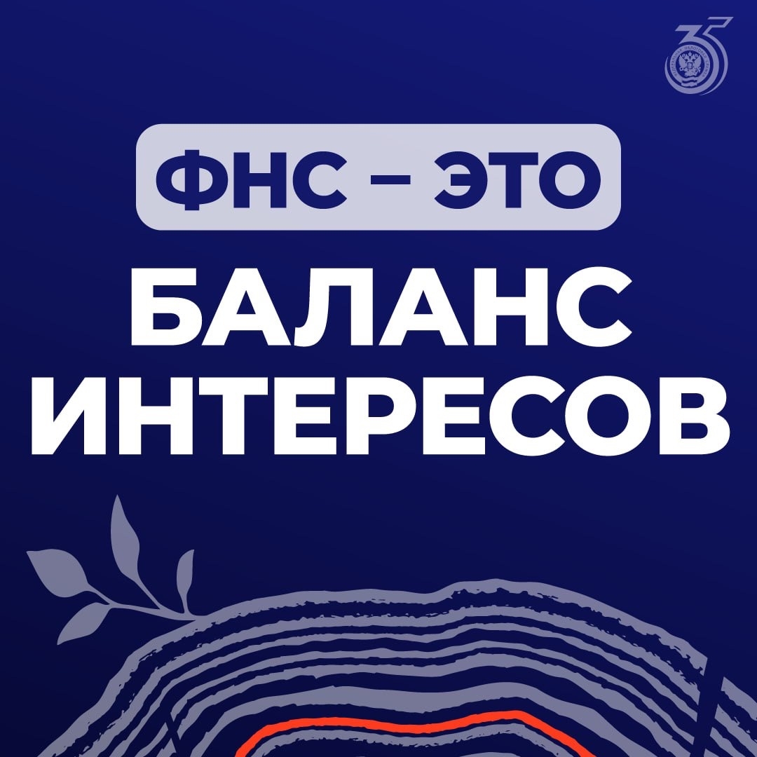 ФНС – это... Важный институт, поддерживающий баланс интересов в экономике