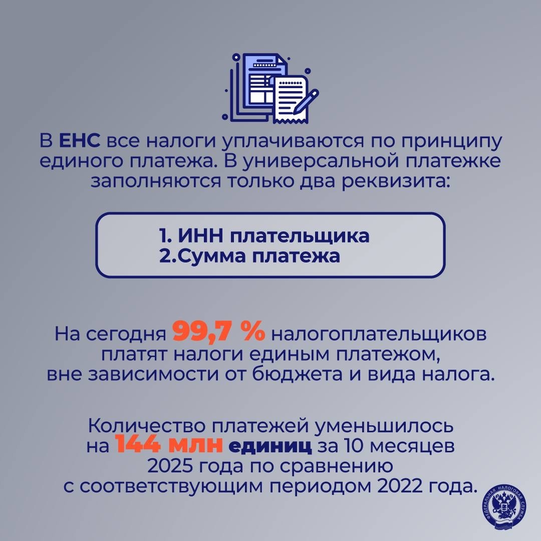 ФНС – это... Важный институт, поддерживающий баланс интересов в экономике