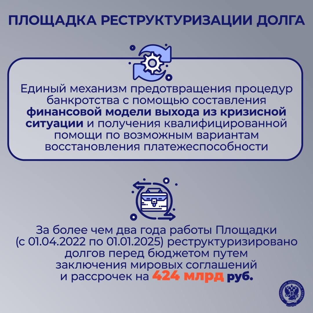ФНС – это... Важный институт, поддерживающий баланс интересов в экономике