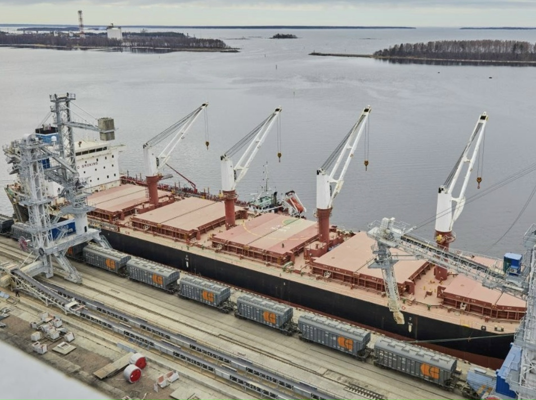 Россия с начала года по 12 ноября экспортировала через порты Балтики 1,3 млн т зерна, что на 30% больше, чем за аналогичный период 2024 года, пишет «Интерфакс»…