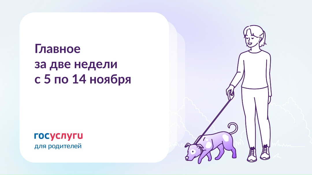 Главное за две недели с 5 по 14 ноября