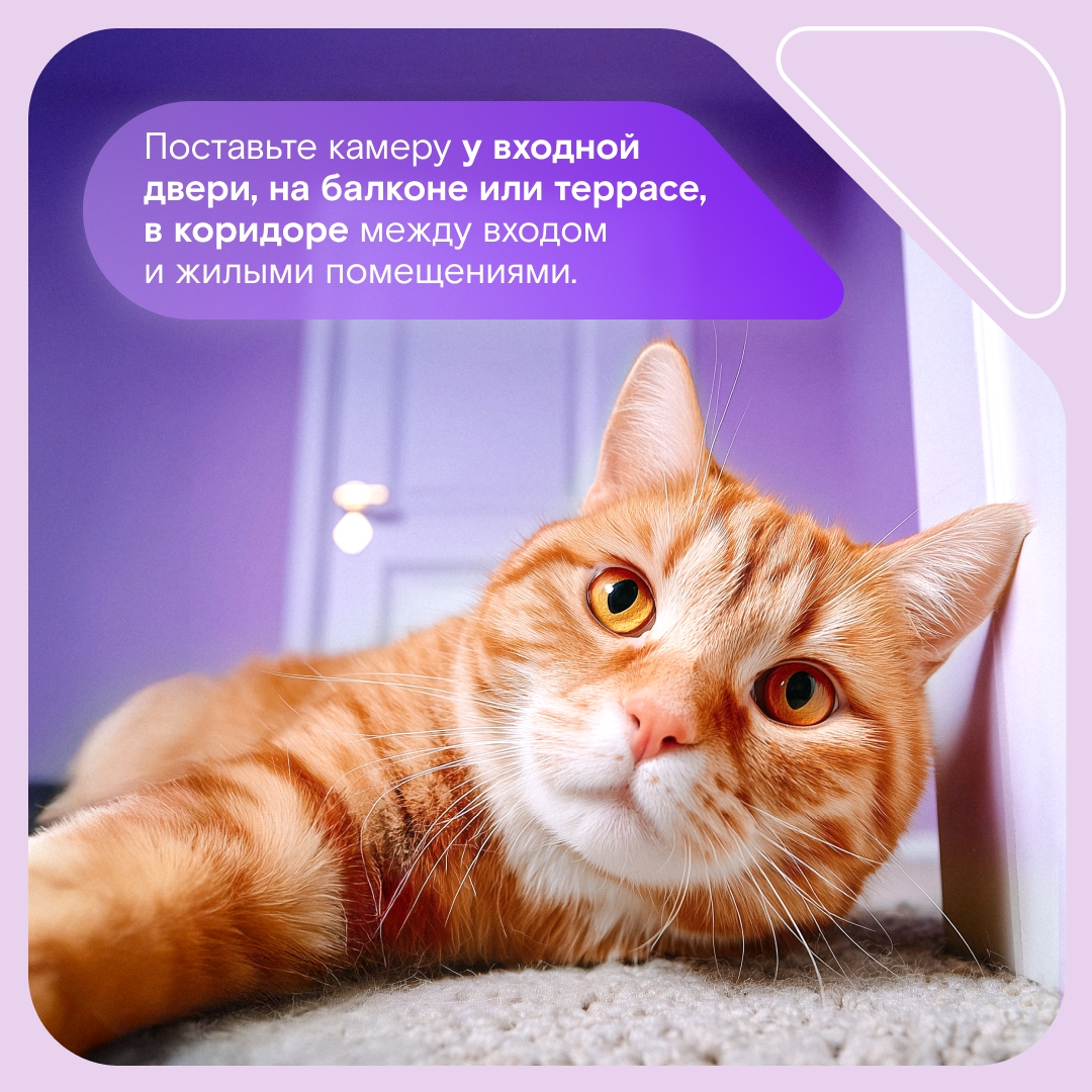 Свет, камера… безопасность! Собрали полезные карточки с советами, как и где лучше расположить камеры домашнего видеонаблюдения, чтобы от вашего внимания даже…