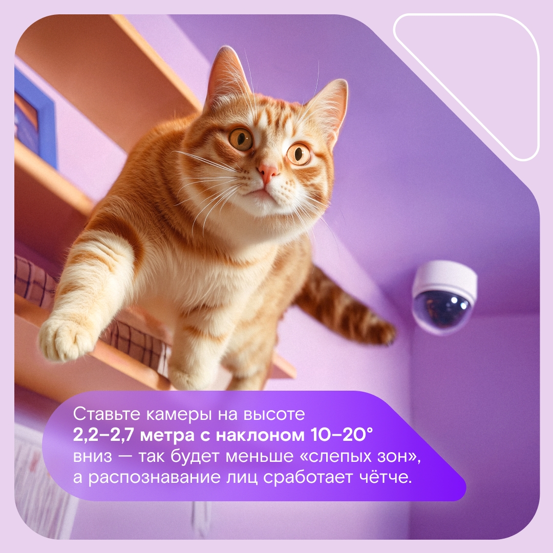 Свет, камера… безопасность! Собрали полезные карточки с советами, как и где лучше расположить камеры домашнего видеонаблюдения, чтобы от вашего внимания даже…