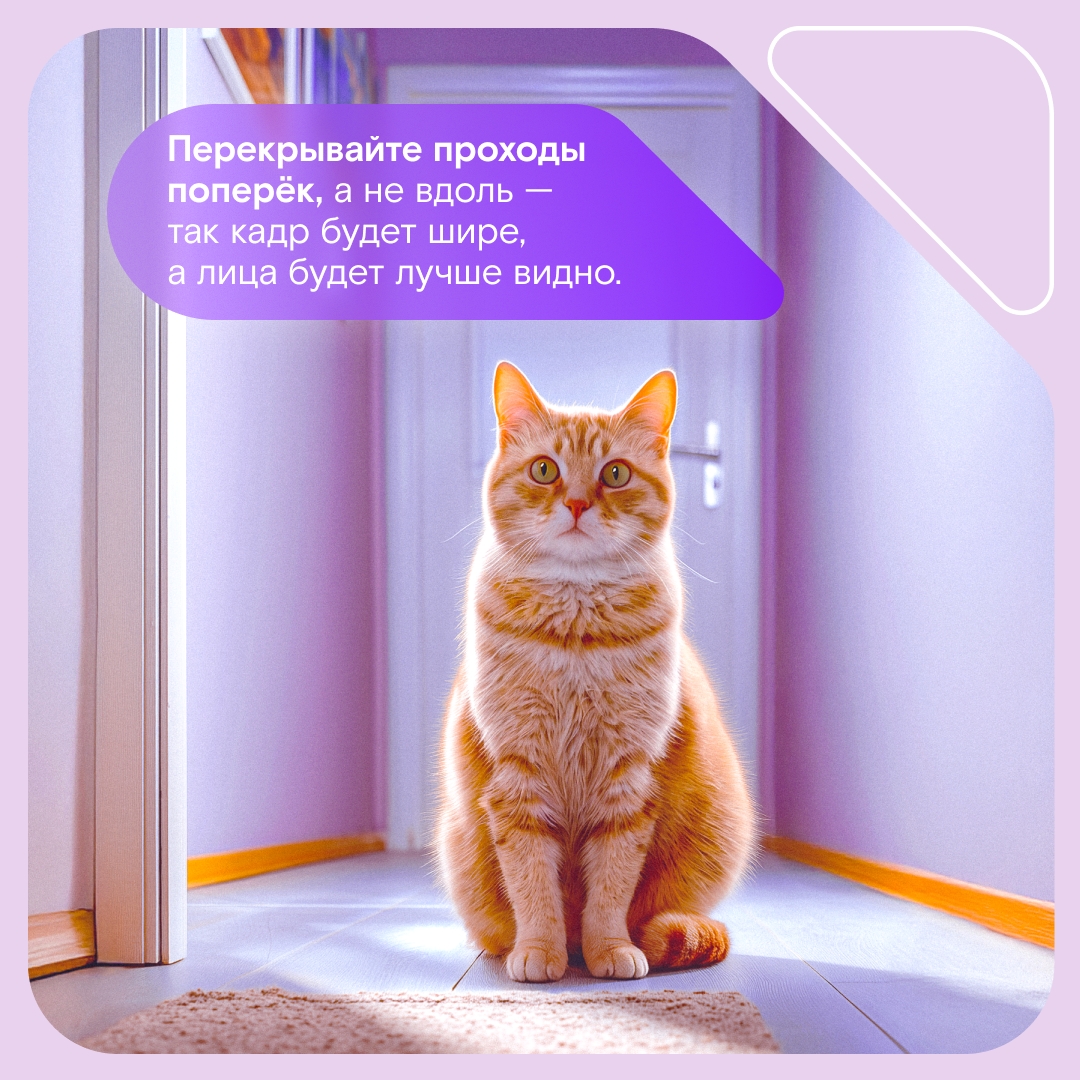 Свет, камера… безопасность! Собрали полезные карточки с советами, как и где лучше расположить камеры домашнего видеонаблюдения, чтобы от вашего внимания даже…