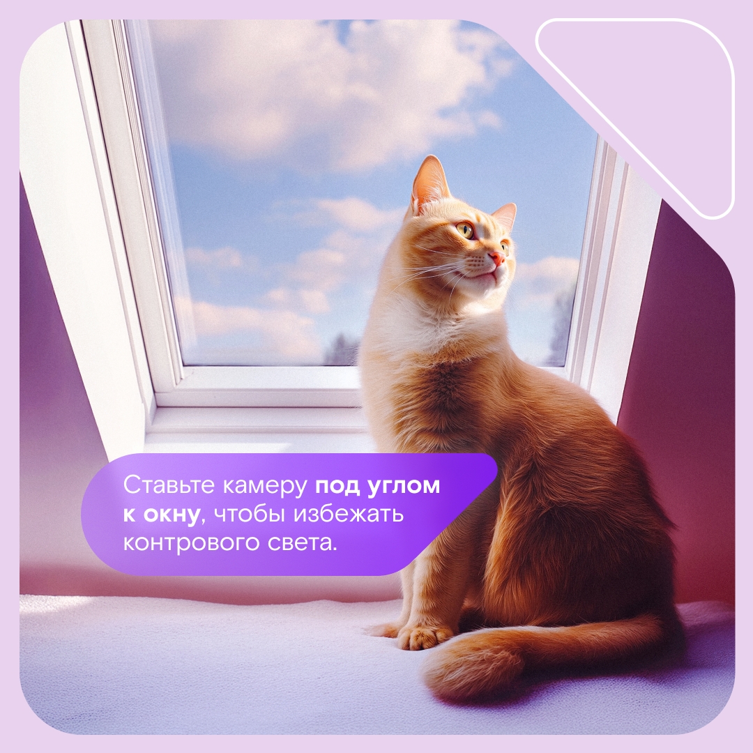 Свет, камера… безопасность! Собрали полезные карточки с советами, как и где лучше расположить камеры домашнего видеонаблюдения, чтобы от вашего внимания даже…