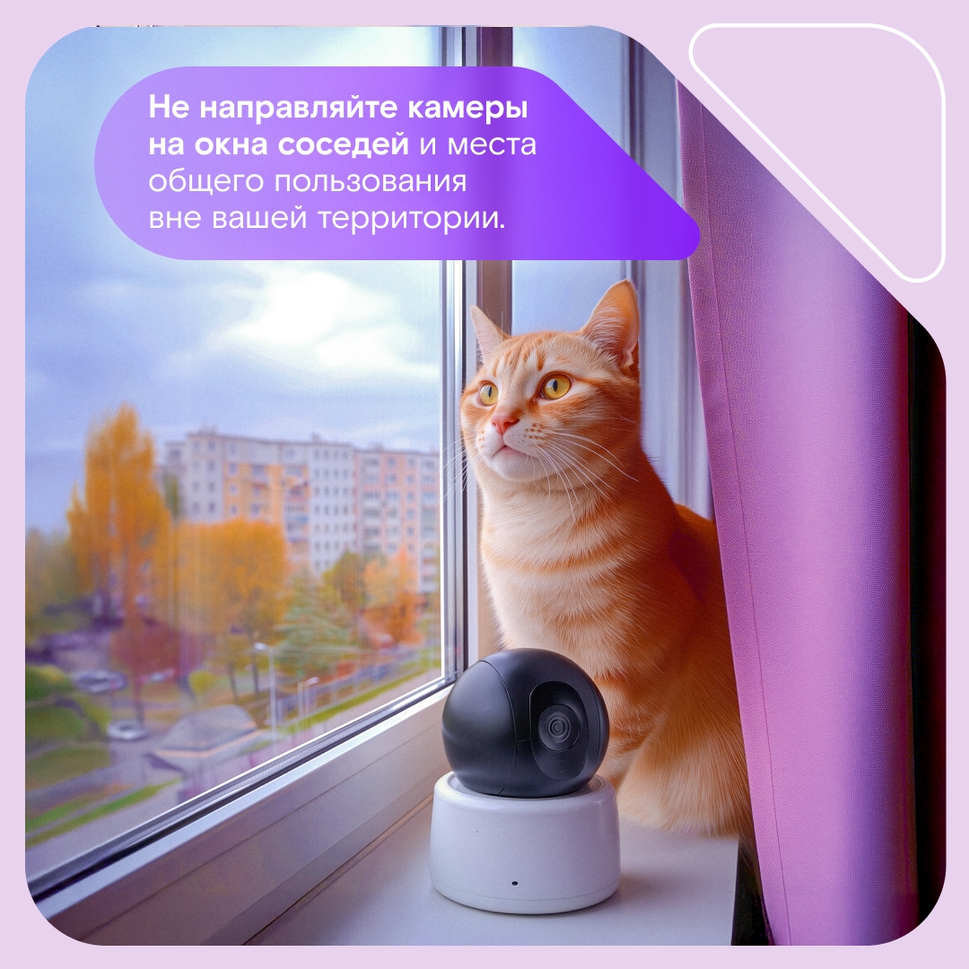 Свет, камера… безопасность! Собрали полезные карточки с советами, как и где лучше расположить камеры домашнего видеонаблюдения, чтобы от вашего внимания даже…