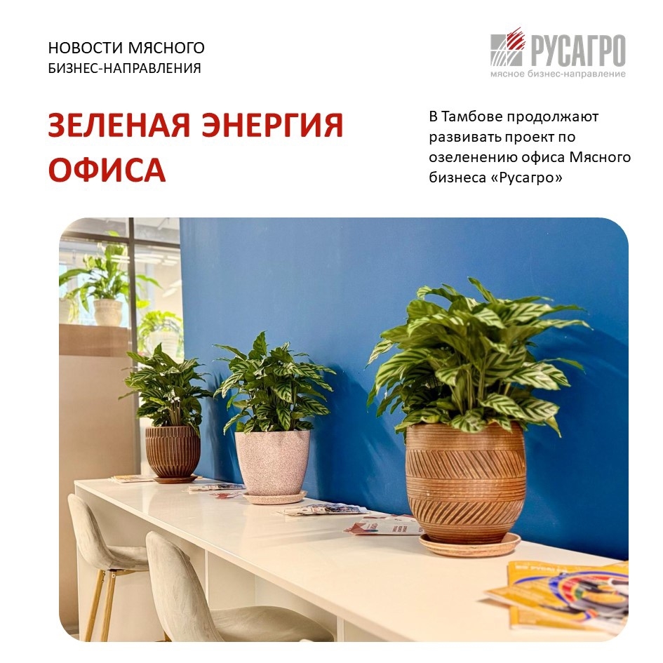 В офисе Мясного бизнеса «Русагро» в Тамбове каждую неделю становится уютнее и зеленее. Здесь продолжают реализовывать проект по озеленению рабочего пространства