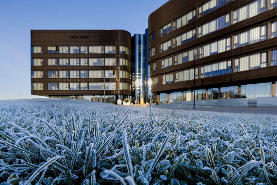 #ФотоНедели: Морозное утро у Высшей школы нефти