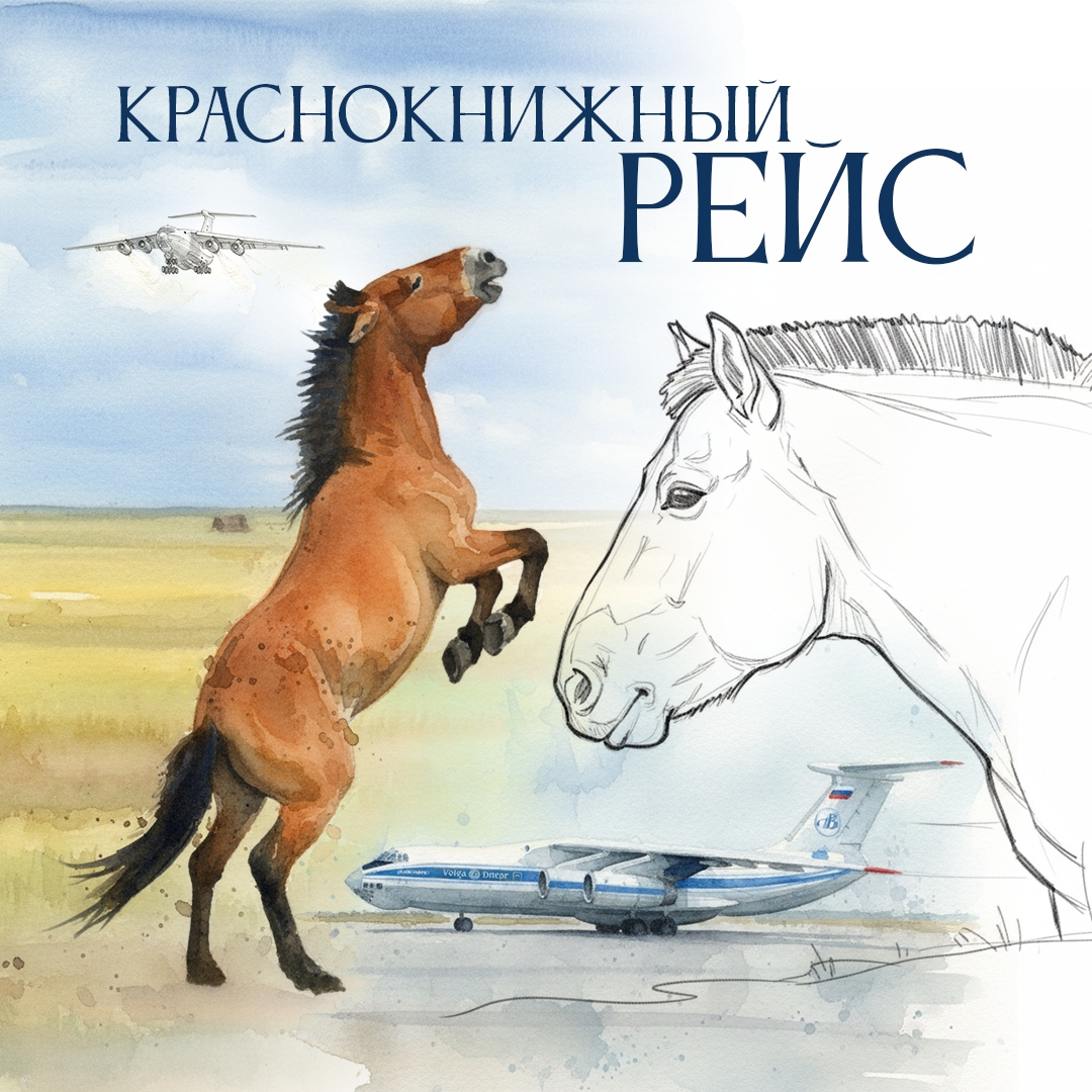 Не каждый день увидишь, как дикие лошади летят на борту самолета. Тем более – лошади Пржевальского, занесенные в Красную книгу.