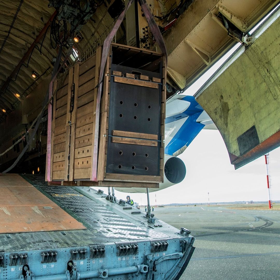 Не каждый день увидишь, как дикие лошади летят на борту самолета. Тем более – лошади Пржевальского, занесенные в Красную книгу.