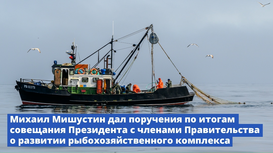 Михаил Мишустин дал поручения по итогам совещания Президента с членами Правительства о развитии рыбохозяйственного комплекса.