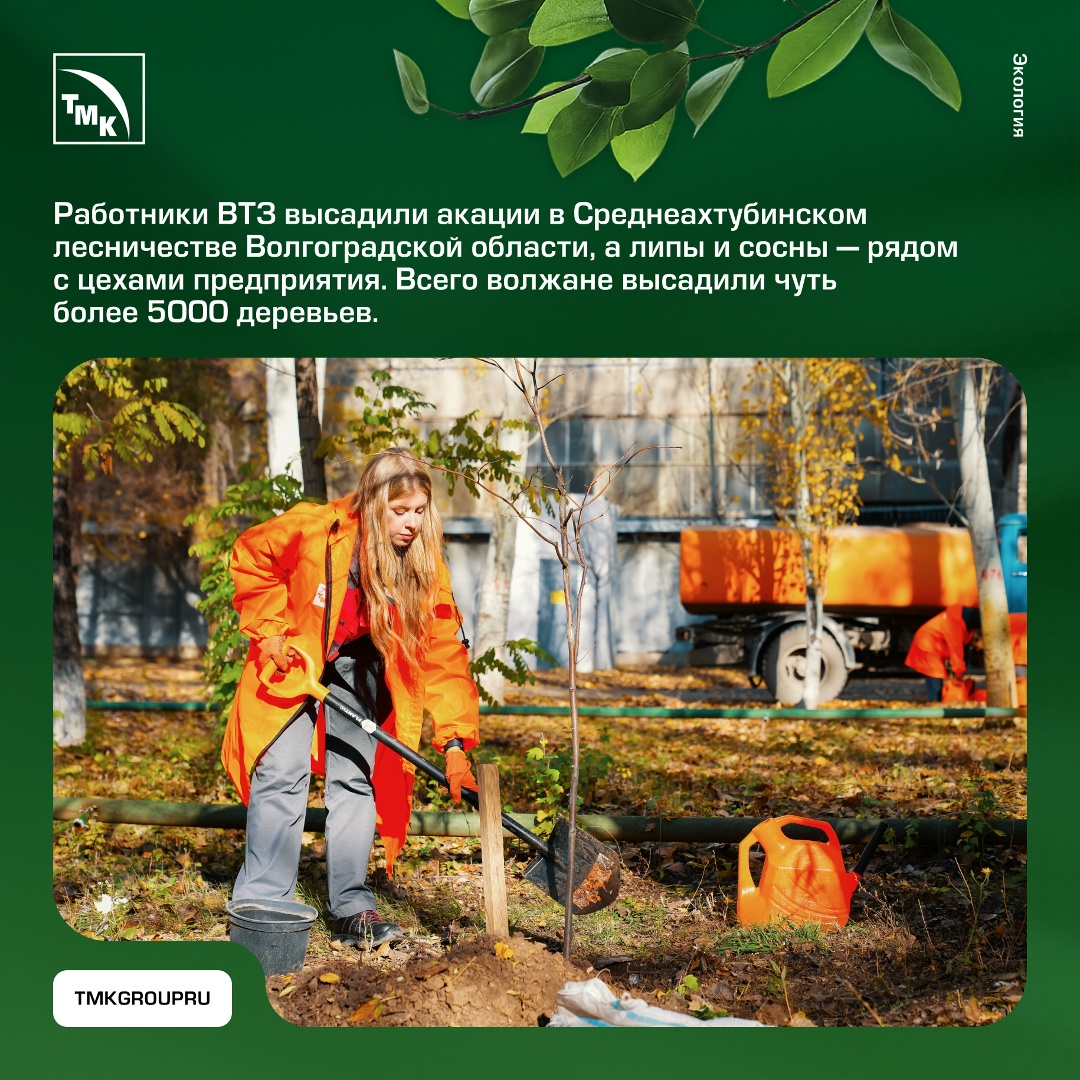 В городах присутствия ТМК прошла акция «Зеленая инициатива».