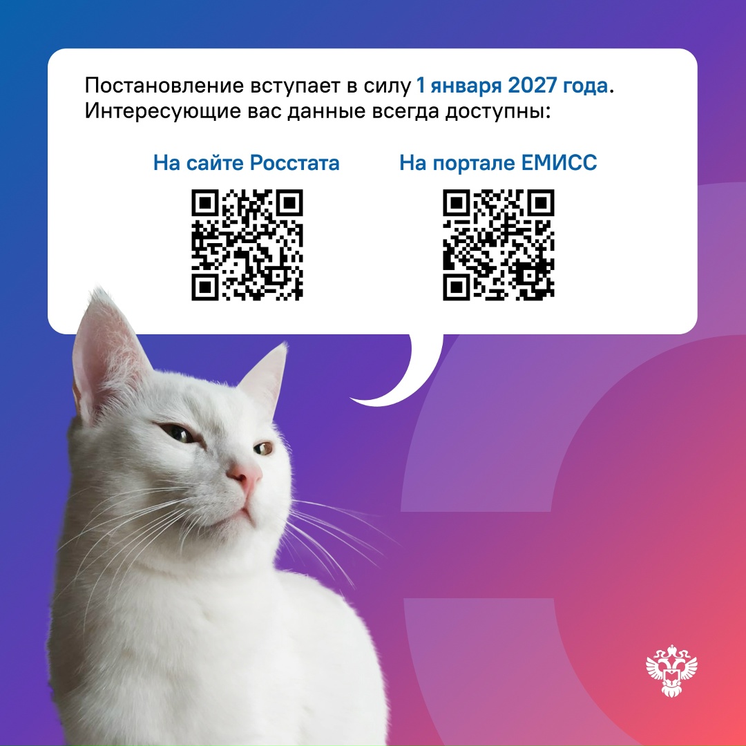 13 ноября принято Постановление Правительства России о возможности субъектам статического учета реализовывать статистические данные.