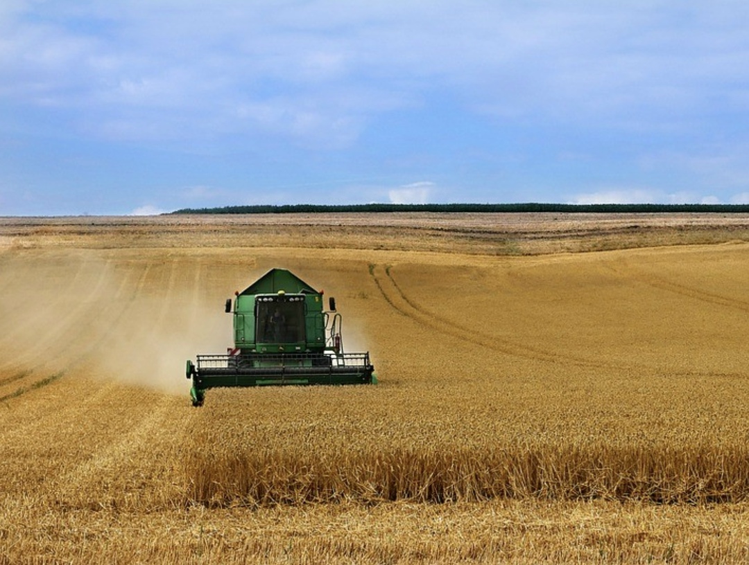 Аналитический центр «СовЭкон» повысил прогноз урожая пшеницы на 0,8 млн т, до 88,6 млн т, пишет «Агроэксперт» со ссылкой на материалы центра