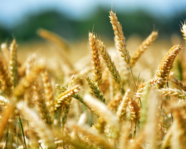 Самое интересное за неделю с 17 по 23 ноября