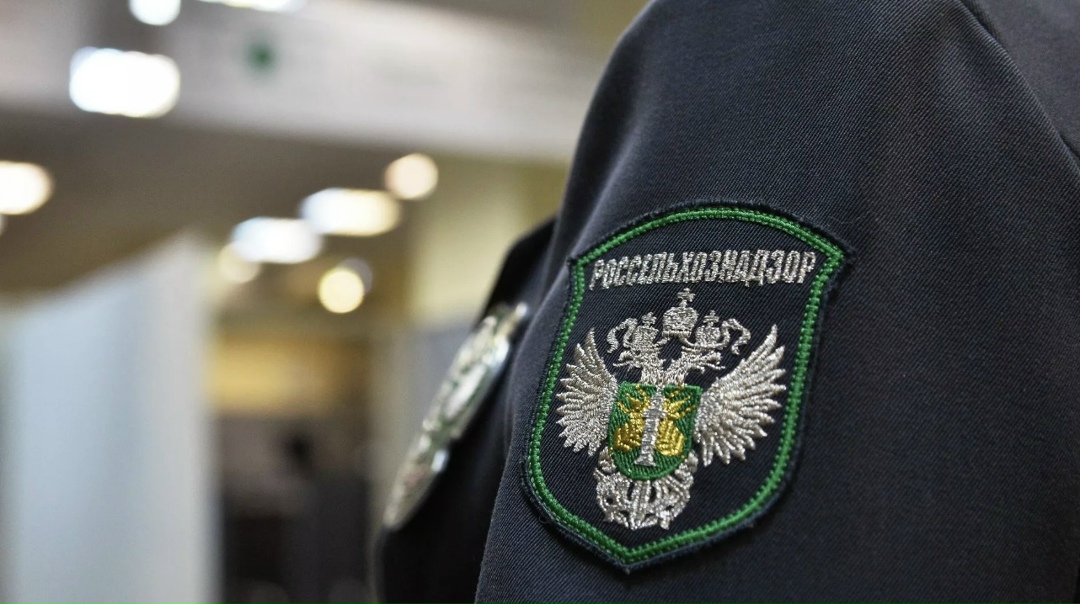 Россельхознадзор с начала 2025 года выявил 104 нарушения в партиях семян, ввезенных в Россию из 14 стран, в том числе из Испании, Италии, Германии, Австрии и…