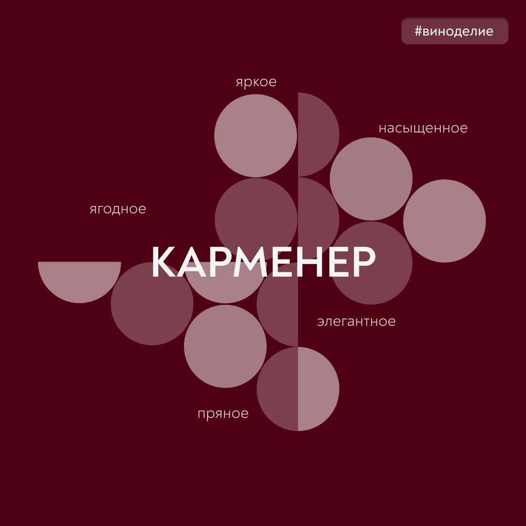 Карменер – пряный вкус и тонкий флер