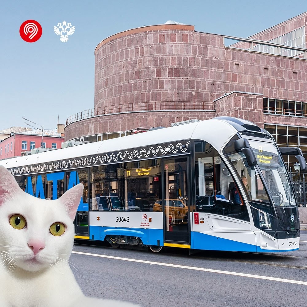 Привет! На связи кот Федя! Дептранс Москвы запустил новый проект – Московские трамвайные диаметры (МТД)