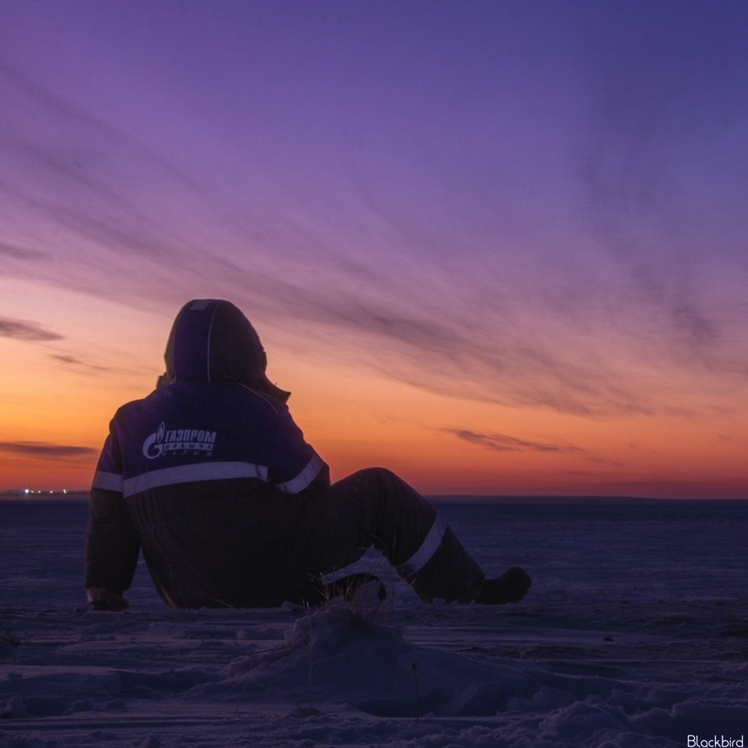 Полярная ночь вступает в свои права: в конце ноября она начинается на полуострове Ямал
