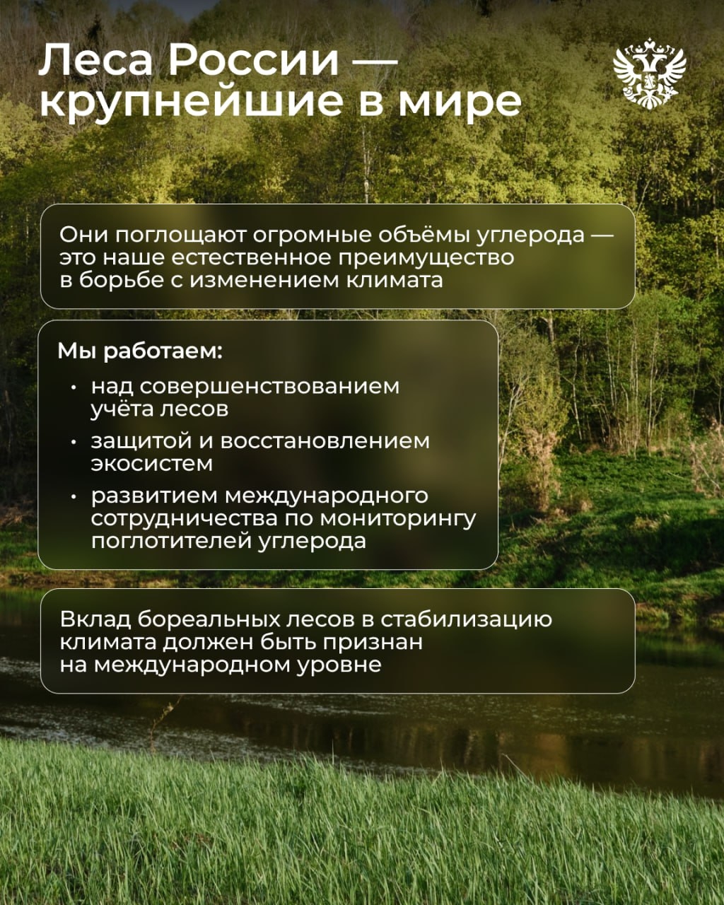 Россия определила свои климатические цели до 2035 года